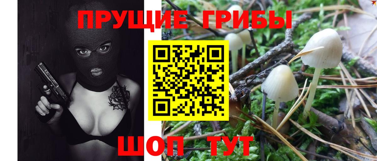 Псилоцибиновые грибы Psilocybine cubensis  Вход с VPN  Псилоцибиновые грибы Magic Shrooms  Кузнецк 